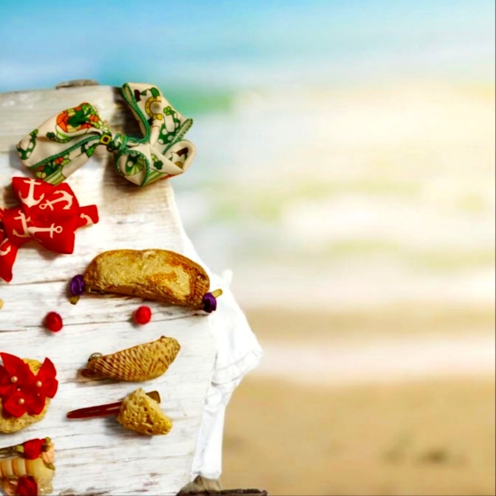 Seashell hair barrettes